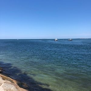 Meet your Posher, Alicia